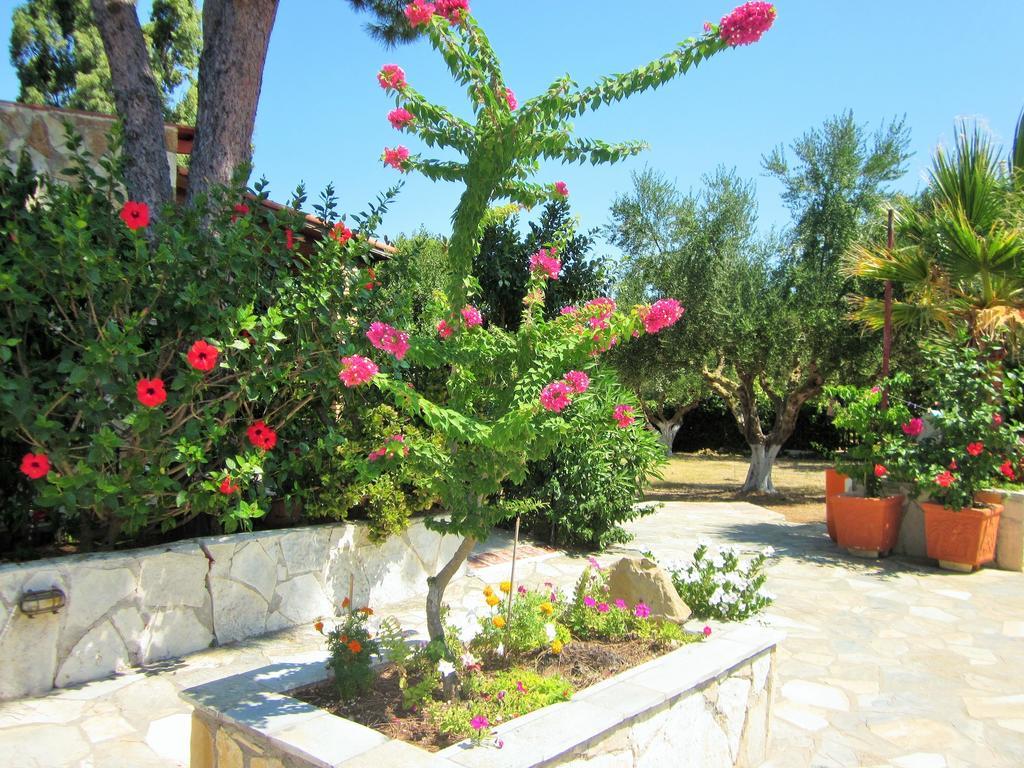Artemis Vassilikos Aparthotel Vasilikos  Room photo